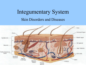 Integumentary System Skin Disorders and Diseases