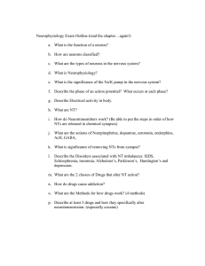 Neurophysiology Exam Outline (read the chapter…again!)