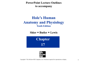 Hole’s Human Anatomy and Physiology Chapter 17
