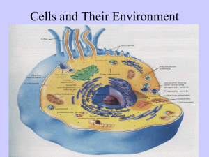 Cells and Their Environment Chapter 4 p 74-84