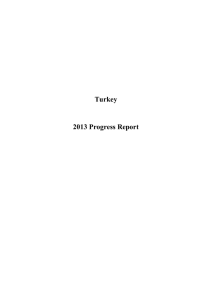 Turkey 2013 Progress Report