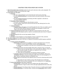 CHAPTER 5-THE INTEGUMENTARY SYSTEM