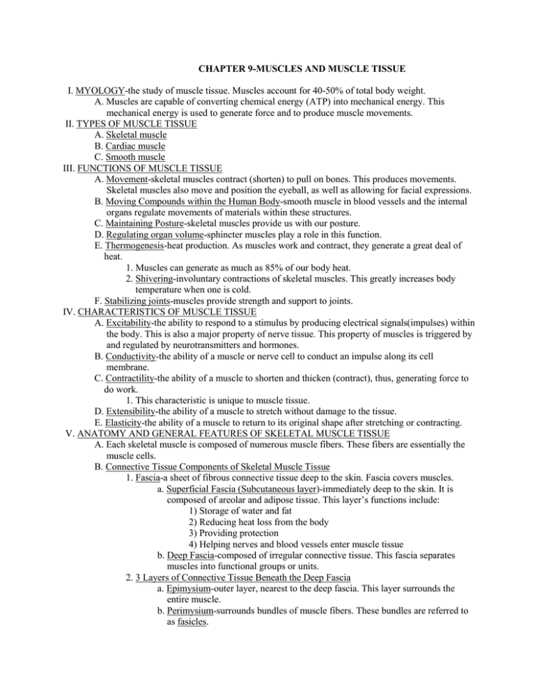 chapter-9-muscles-and-muscle-tissue