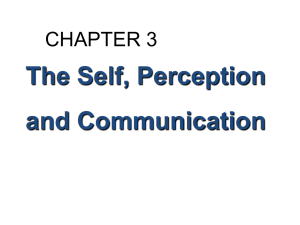 The Self, Perception and Communication CHAPTER 3