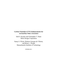 Carbon Nanotube (CNT) Enhancements for Aerosurface State Awareness Metis Design Corporation