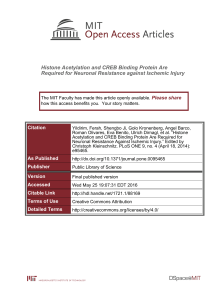 Histone Acetylation and CREB Binding Protein Are