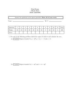 Final Exam (Mock Test) Math 12010-003