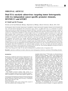 Dual E1A oncolytic adenovirus: targeting tumor heterogeneity