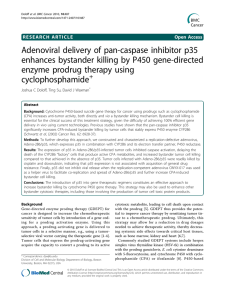 Adenoviral delivery of pan-caspase inhibitor p35 enzyme prodrug therapy using