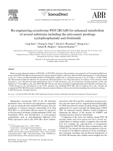 Re-engineering cytochrome P450 2B11dH for enhanced metabolism