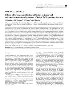 Effects of hypoxia and limited diffusion in tumor cell
