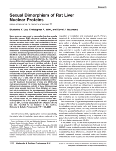 Sexual Dimorphism of Rat Liver Nuclear Proteins □