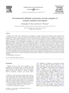 Environmental phthalate monoesters activate pregnane X receptor-mediated transcription