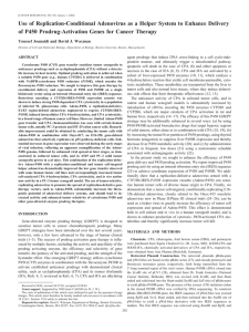 Use of Replication-Conditional Adenovirus as a Helper System to Enhance... of P450 Prodrug-Activation Genes for Cancer Therapy