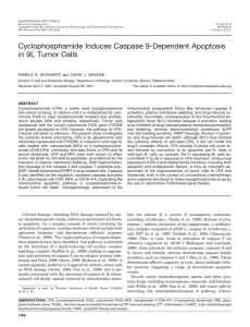 Cyclophosphamide Induces Caspase 9-Dependent Apoptosis in 9L Tumor Cells