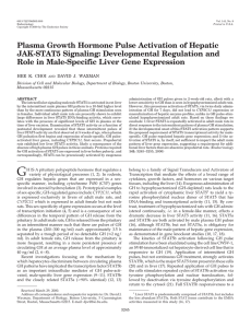 Plasma Growth Hormone Pulse Activation of Hepatic