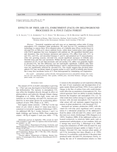 EFFECTS OF FREE-AIR CO ENRICHMENT (FACE) ON BELOWGROUND PROCESSES IN A PINUS TAEDA