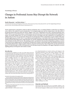 Changes in Prefrontal Axons May Disrupt the Network in Autism Basilis Zikopoulos