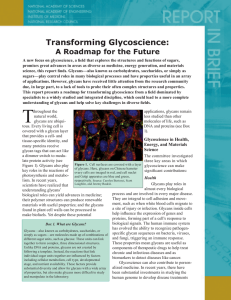 Transforming  Glycoscience: A Roadmap for the Future