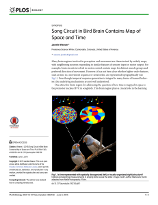 Song Circuit in Bird Brain Contains Map of Space and Time