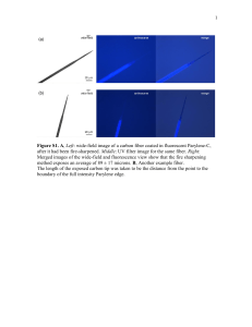 1  Middle Merged images of the wide-field and fluorescence view show that...