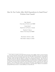 How Do Tax Credits Affect R&amp;D Expenditures by Small Firms?