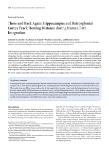 There and Back Again: Hippocampus and Retrosplenial Integration