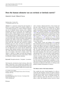 Does the human odometer use an extrinsic or intrinsic metric?