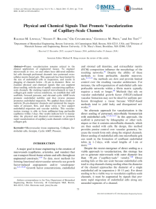 Physical and Chemical Signals That Promote Vascularization of Capillary-Scale Channels R M. L