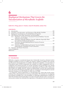 6 Biophysical Mechanisms That Govern the Vascularization of Microfluidic Scaffolds