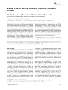 Artificial lymphatic drainage systems for vascularized microfluidic scaffolds