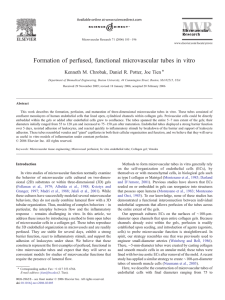 Formation of perfused, functional microvascular tubes in vitro ⁎