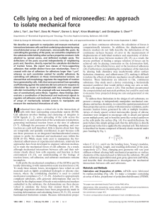 Cells lying on a bed of microneedles: An approach