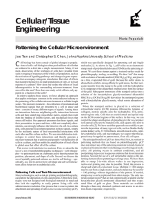 Cellular/Tissue Engineering Patterning the Cellular Microenvironment Johns Hopkins University School of Medicine