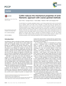 Cofilin reduces the mechanical properties of actin Jae In Kim,† Junpyo Kwon,†