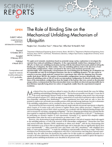 The Role of Binding Site on the Mechanical Unfolding Mechanism of Ubiquitin