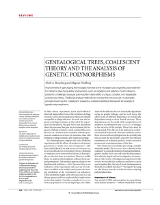 GENEALOGICAL TREES, COALESCENT THEORY AND THE ANALYSIS OF GENETIC POLYMORPHISMS