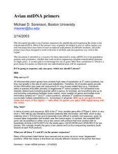 Avian mtDNA primers Michael D. Sorenson, Boston University 2/14/2003