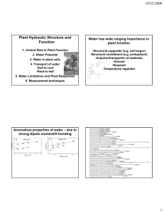 10/22/2008 Plant Hydraulic Structure and Function Water has wide ranging importance in