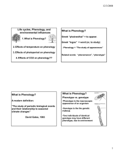 12/3/2008 Life cycles, Phenology, and What is Phenology? environmental influences