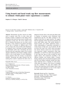 Using branch and basal trunk sap flow measurements
