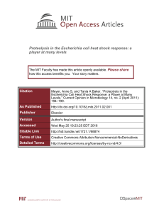 Proteolysis in the Escherichia coli heat shock response: a Please share