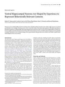 Ventral Hippocampal Neurons Are Shaped by Experience to