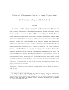 Multiscale, Multigranular Statistical Image Segmentation
