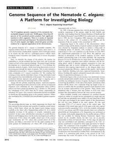C. elegans A Platform for Investigating Biology