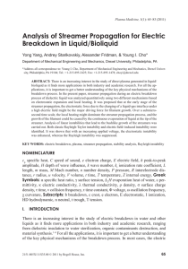 Analysis of Streamer Propagation for Electric Breakdown in Liquid/Bioliquid
