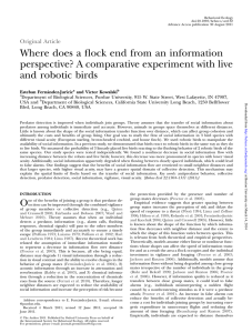 Where does a flock end from an information and robotic birds