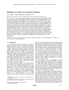 Modeling wave impact on salt marsh boundaries