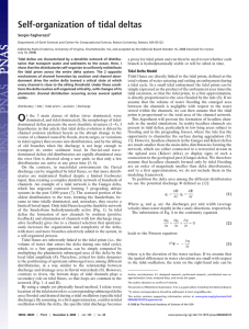 Self-organization of tidal deltas Sergio Fagherazzi