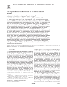 Self-organization of shallow basins in tidal flats and salt marshes